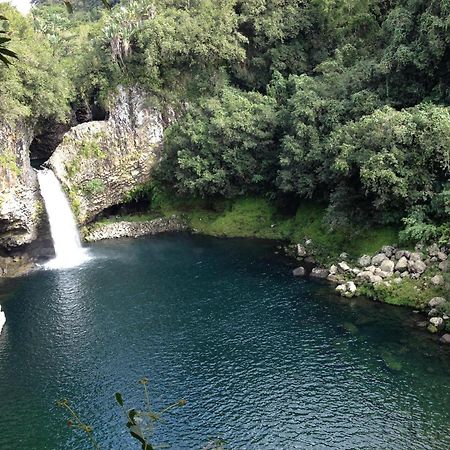 Le Beau Vallon 1- Jacuzzi Privatif Et Piscine Chauffee Partagee Saint-Benoît エクステリア 写真