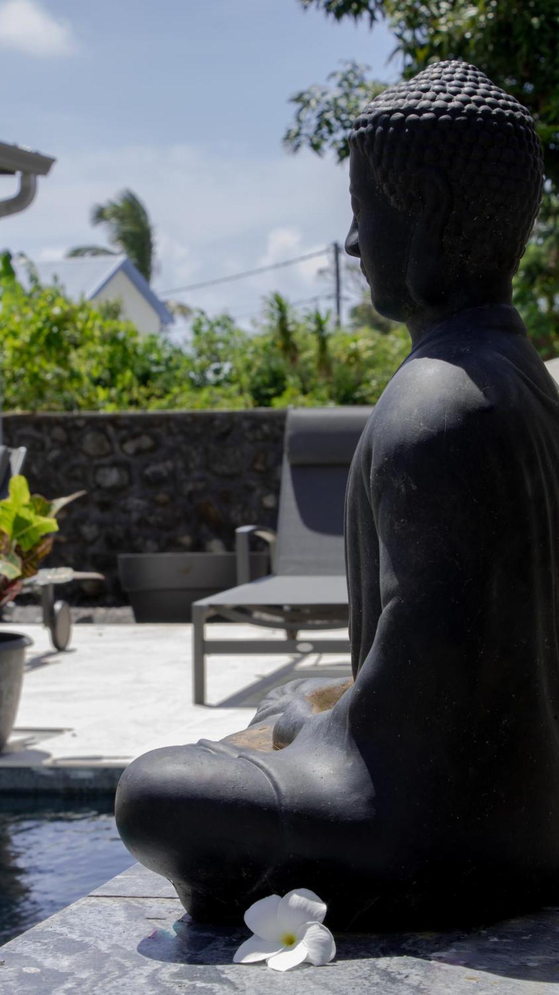 Le Beau Vallon 1- Jacuzzi Privatif Et Piscine Chauffee Partagee Saint-Benoît エクステリア 写真