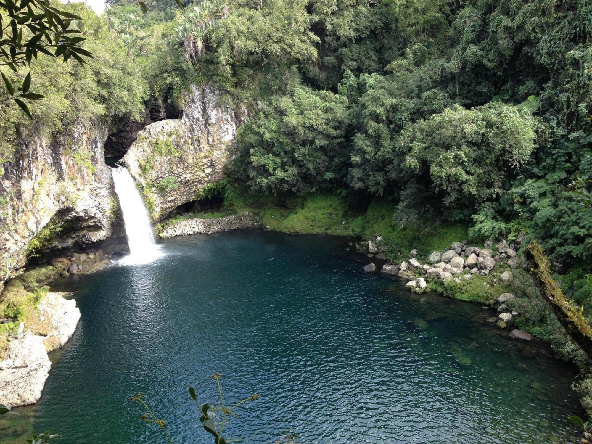 Le Beau Vallon 1- Jacuzzi Privatif Et Piscine Chauffee Partagee Saint-Benoît エクステリア 写真
